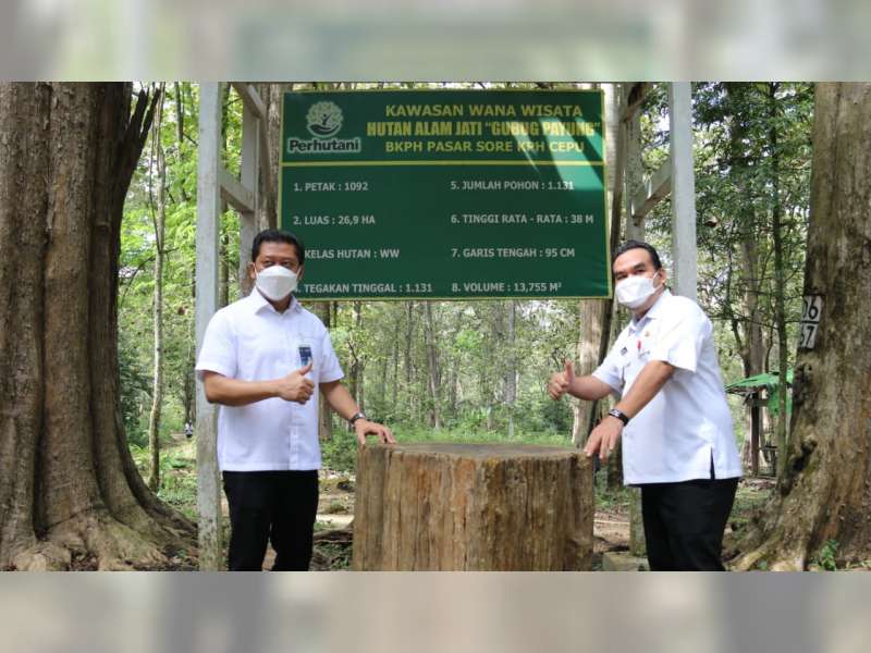 Dirut Perhutani Dukung Pemkab Blora Kembangkan Wisata Hutan