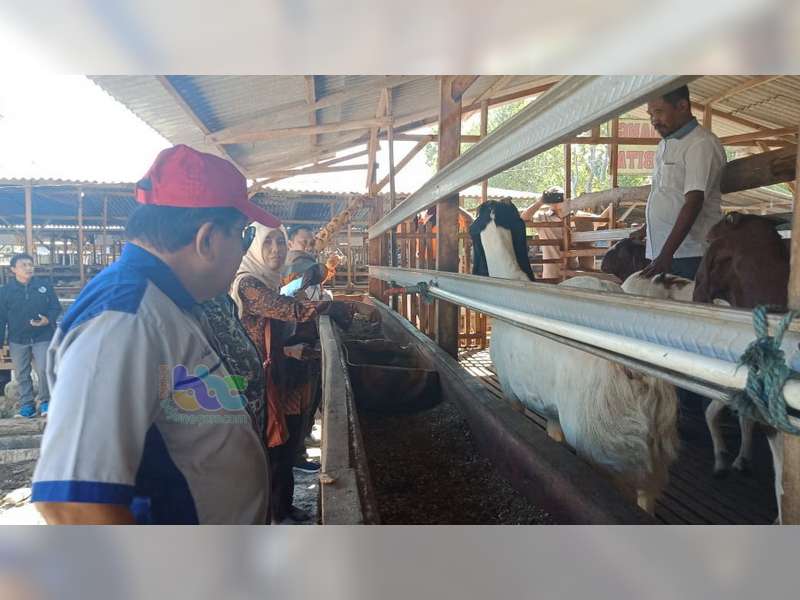 Pemkab Bojonegoro Beri Bimbingan Pembuatan Pakan Ternak pada Kelompok Ternak