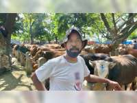 Jelang Hari Raya Iduladha, Harga Sapi di Pasar Hewan Bojonegoro Berangsur Naik