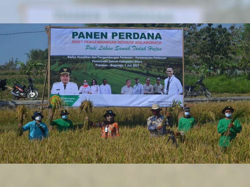 Kementan Apresiasi Keberhasilan Pengembangan Padi Lahan Sawah Tadah Hujan di Blora