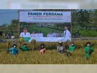 Kementan Apresiasi Keberhasilan Pengembangan Padi Lahan Sawah Tadah Hujan di Blora