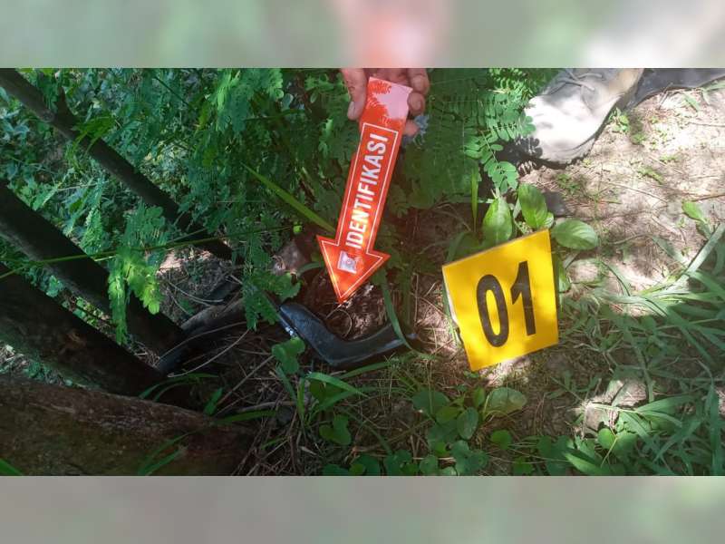 Hendak Mencangkul, Warga Jepon, Blora, Temukan Sepucuk Pistol Rakitan