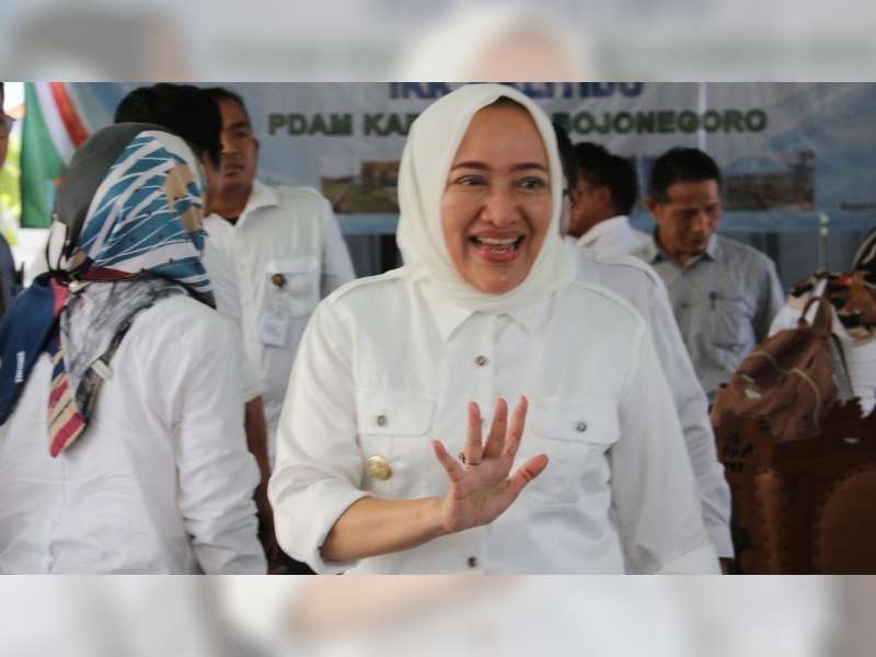 Profil Anna Mu'awanah, Bupati Bojonegoro yang Pernah Jadi Anggota DPR 3 Periode