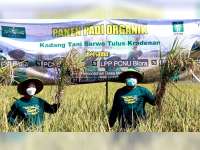 Bupati Arief Rohman Dorong Petani Blora Beralih Tanam Padi Organik