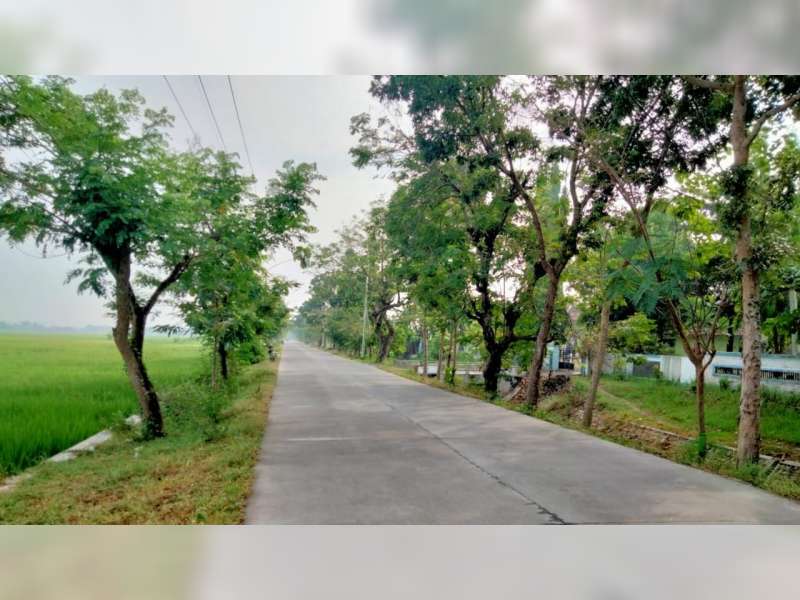 Progres Pembangunan Peningkatan Jalan Cor di Kabupaten Bojonegoro Capai 31 Persen