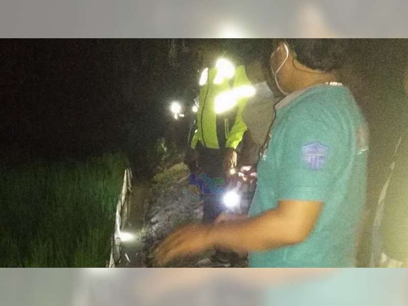 Petani di Baureno, Bojonegoro, Meninggal Akibat Tersengat Listrik Jebakan Tikus di Sawah