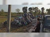 Diduga Pengemudi Mengantuk, Truk Molen di Temayang, Bojonegoro, Terperosok dan Terguling di Sawah
