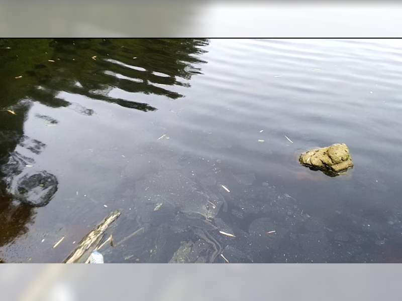 Sungai Bengawan Solo Tercemar, DLH Blora Ambil Sampel Air untuk Uji Laboratorium