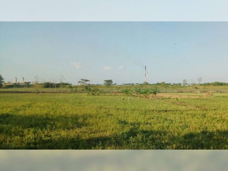 EMCL: Gas Flare Lapangan Bayu Urip yang Dikeluhkan Warga Kondisinya Sudah Normal