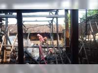 Diduga Akibat Korsleting Listrik, Rumah Warga Kepohbaru, Bojonegoro, Ludes Terbakar