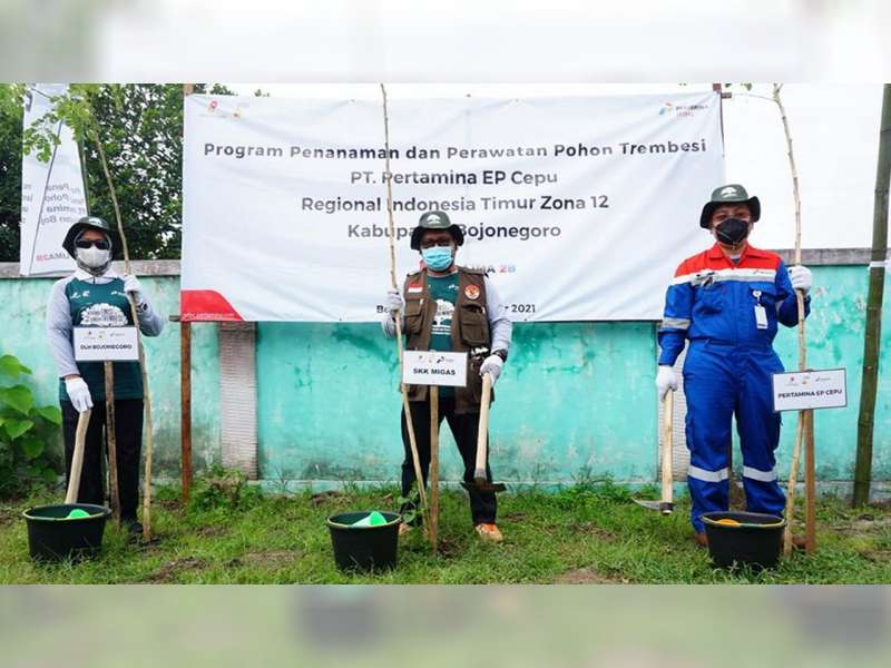 Program Penanaman Pohon PEPC Capai 25.000 Pohon, Bukti Komitmen dalam Upaya Kurangi Emisi