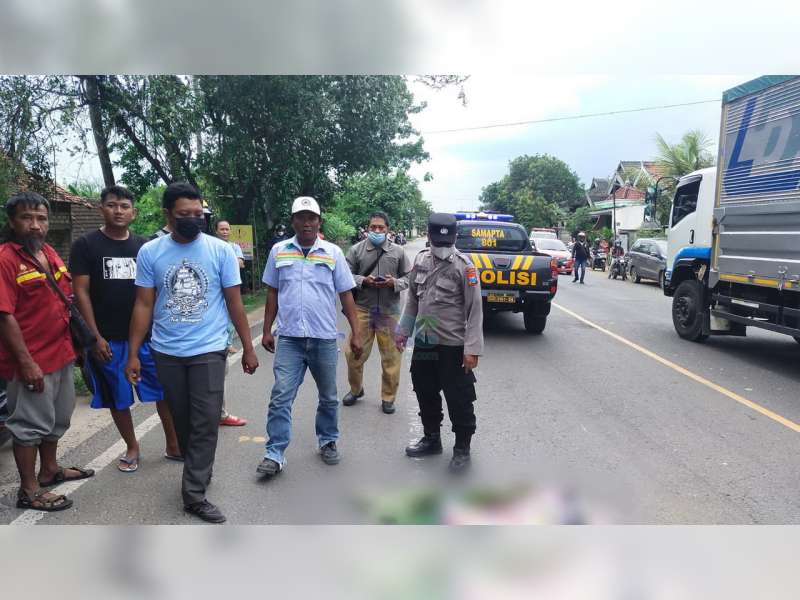 Pemotor Asal Tambakboyo, Tuban, Tewas Terlindas Truk di Jalur Pantura