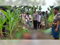 Hendak Cari Rumput, Warga Ngraho, Bojonegoro, Ditemukan Meninggal Dunia di Sawah