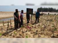 Koramil Tambakboyo, Tuban, Tanam 1.000 Pohon Mangrove di Kawasan Pantai Gadon