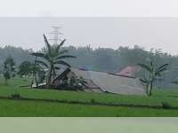 Diterjang Angin Kencang, Puluhan Rumah dan Bangunan di Sumberrejo, Bojonegoro, Rusak