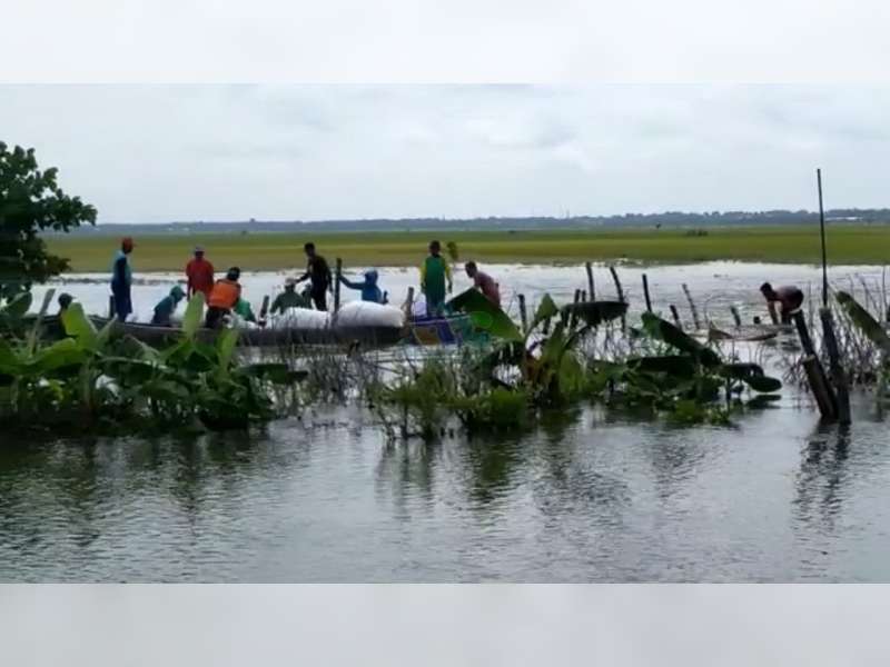 Tanggul Kali Ingas di Kanor, Bojonegoro Jebol, Ratusan Hektare Tanaman Padi Tergenang