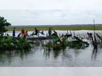 Tanggul Kali Ingas di Kanor, Bojonegoro Jebol, Ratusan Hektare Tanaman Padi Tergenang