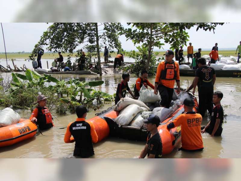 Bupati Bojonegoro Harap Penanganan Tanggul Kali Ingas yang Jebol Dilakukan secara Permanen