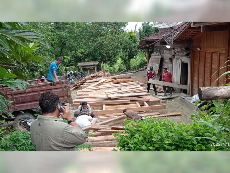 Perhutani Randublatung, Blora Amankan Ratusan Batang Kayu Jati Ilegal Senilai Ratusan Juta Rupiah