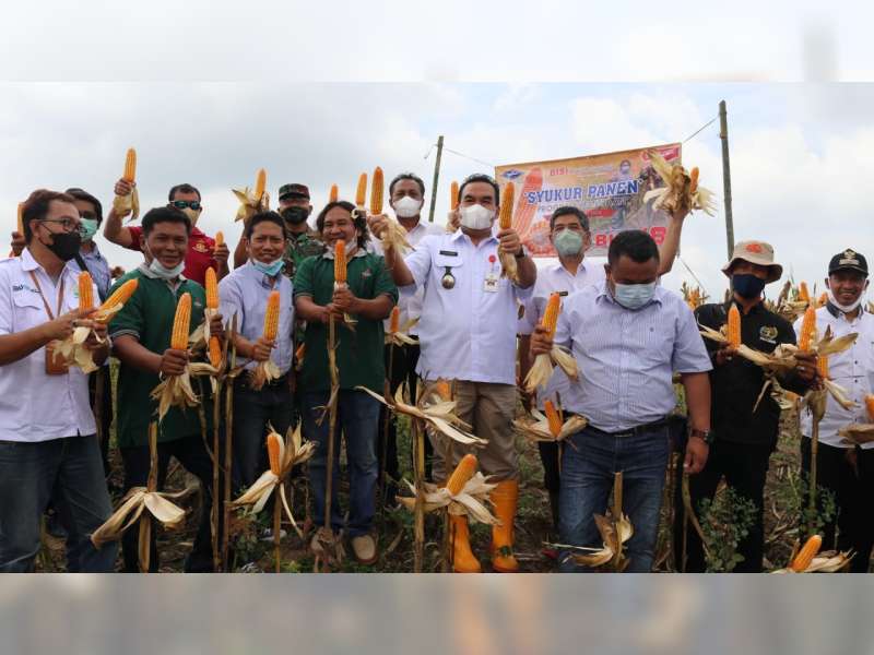 Potensi Jagung Melimpah, Bupati Dorong Pola Kemitraan dan Berharap Ada Pabrik Pakan Ternak di Blora