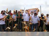 Potensi Jagung Melimpah, Bupati Dorong Pola Kemitraan dan Berharap Ada Pabrik Pakan Ternak di Blora