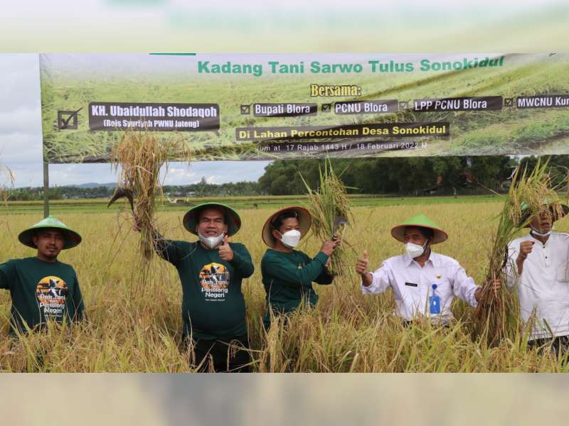 Lebih Untung dan Sehat, Bupati Dukung LPPNU Kembangkan Padi Organik di Blora