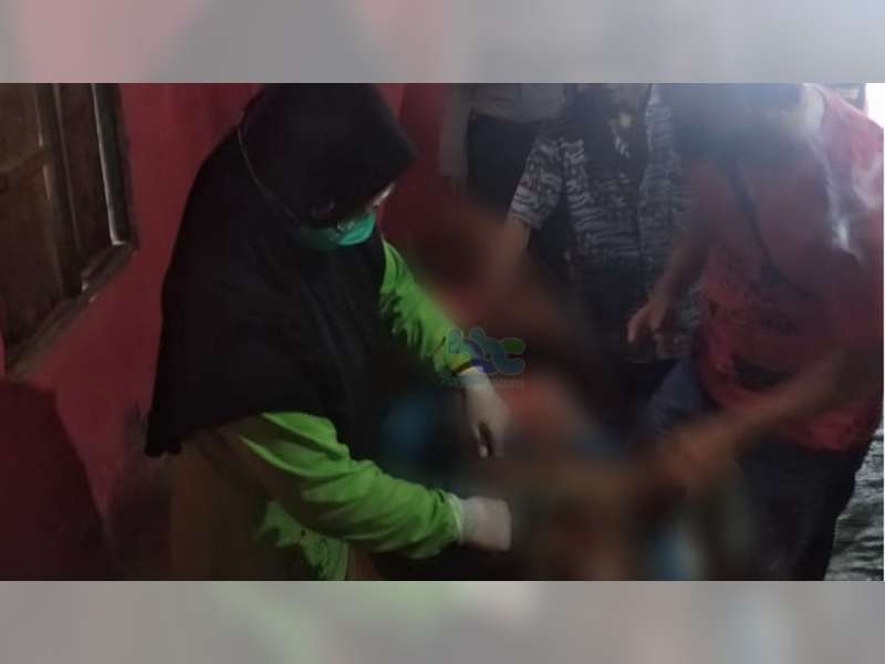 Diduga Serangan Jantung, Petani di Ngasem, Bojonegoro, Meninggal Saat Memanen Padi di Sawah