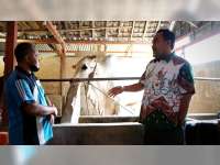 Sebagai Penghasil Sapi Terbesar di Jateng, Bupati Blora Ajak Peternak Waspadai Wabah PMK