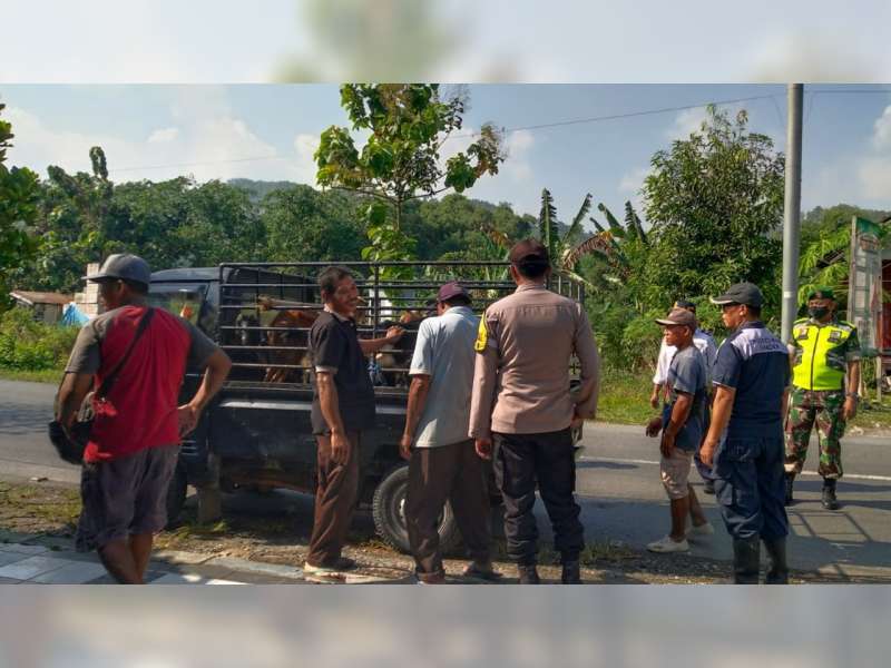 Jelang Hari Raya Kurban, Polres Bojonegoro Pantau Hewan Ternak