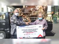 PT Semen Indonesia Persero Pabrik Tuban Serahkan 39 Ekor Hewan Kurban ke Pemkab Tuban