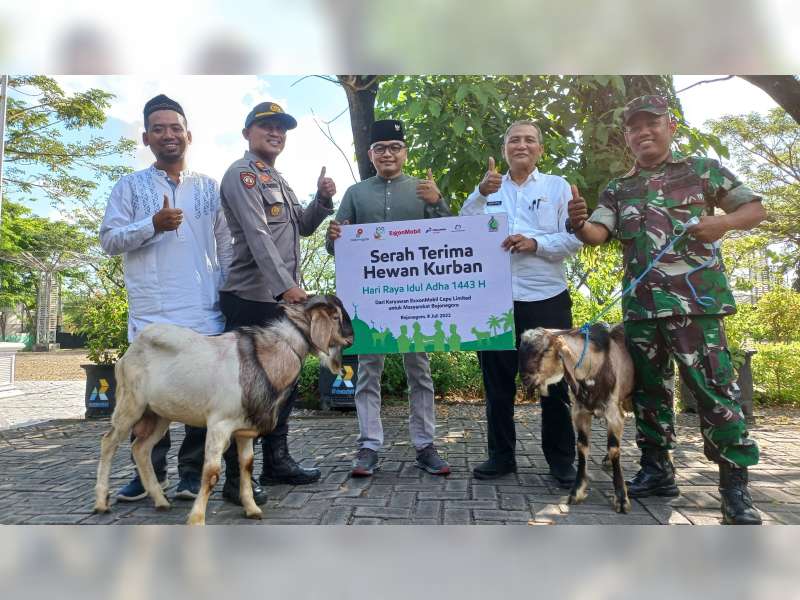 Semangat Berbagi, Karyawan EMCL Serahkan 73 Ekor Hewan Kurban
