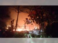 Kandang Berisi 16 Ribu Ayam di Baureno, Bojonegoro Hangus Terbakar, Kerugian Capai Rp 3,5 Miliar