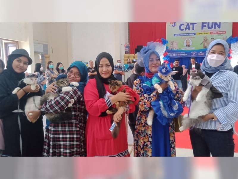 Meriahkan HUT Kemerdekaan RI, Berbagai Jenis Kucing di Tuban Ikuti Lomba Fashion Show