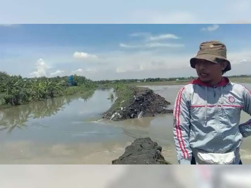 Tanggul Kali Pundung Kembar di Desa Karangdayu, Baureno, Bojonegoro Juga Jebol