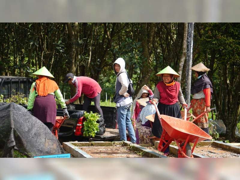 Ikhtiar PEPC Mulai Merawat Alam dan Mencegah Pemanasan Global dari Sekolah