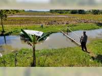 Sebuah Mobil di Sumberrejo, Bojonegoro Tercebur ke Sungai, 7 Orang Luka-luka