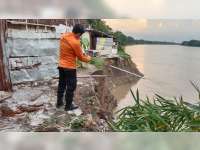 Tebing Sungai Bengawan Solo di Bojonegoro Alami Abrasi, 3 Rumah Warga Terancam Longsor