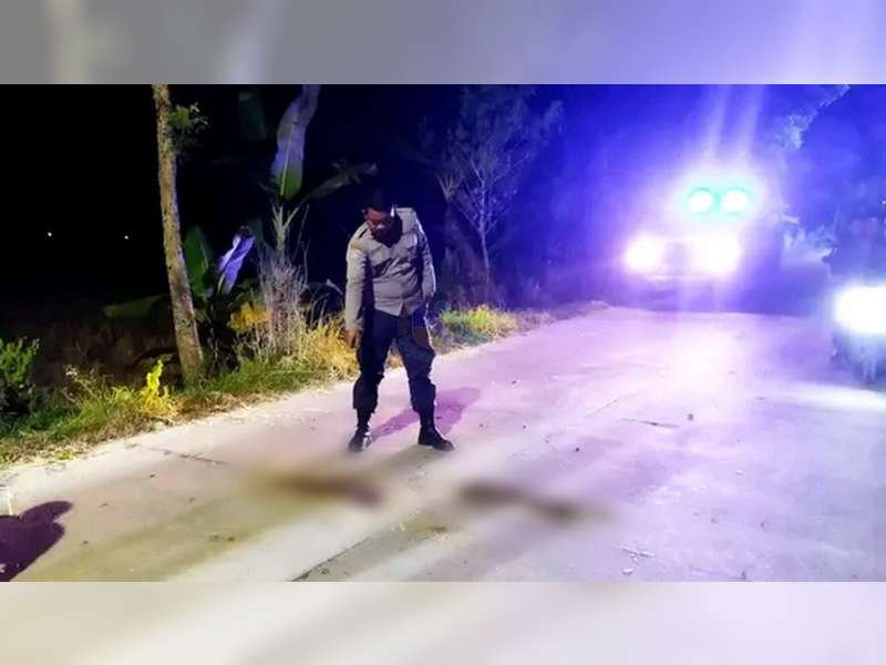 Tabrakan Motor di Ngasem, Bojonegoro, 2 Orang Luka Berat, Seorang Lainnya Luka Ringan