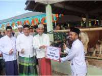 Sekda Pemprov Jateng Serahkan Sapi dari Presiden di Desa Pratama Arhan