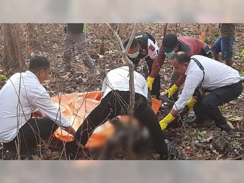 Mayat Laki-Laki yang Telah Membusuk Ditemukan di Kawasan Hutan Jati Dander, Bojonegoro