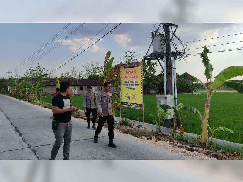 Banyak Serangan Hama Tikus, Pemdes Bandungrojo Blora Terbitkan Perdes Larangan Perburuan