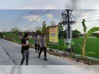 Banyak Serangan Hama Tikus, Pemdes Bandungrojo Blora Terbitkan Perdes Larangan Perburuan