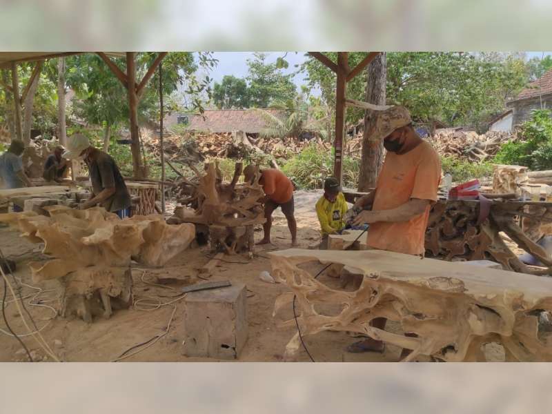Akar Jati Blora Tembus Pasar Ekspor
