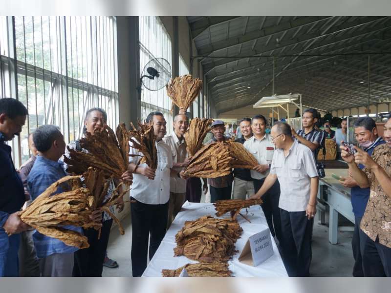 Bupati Blora Kawal Petani Tembakau ke Gudang