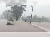Video: Sejumlah Desa di Bojonegoro Diterjang Banjir Bandang