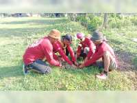 Peduli Lingkungan Sekitar, Komunitas Pesepeda Onthel Tanam &nbsp;Pohon di Musim Hujan