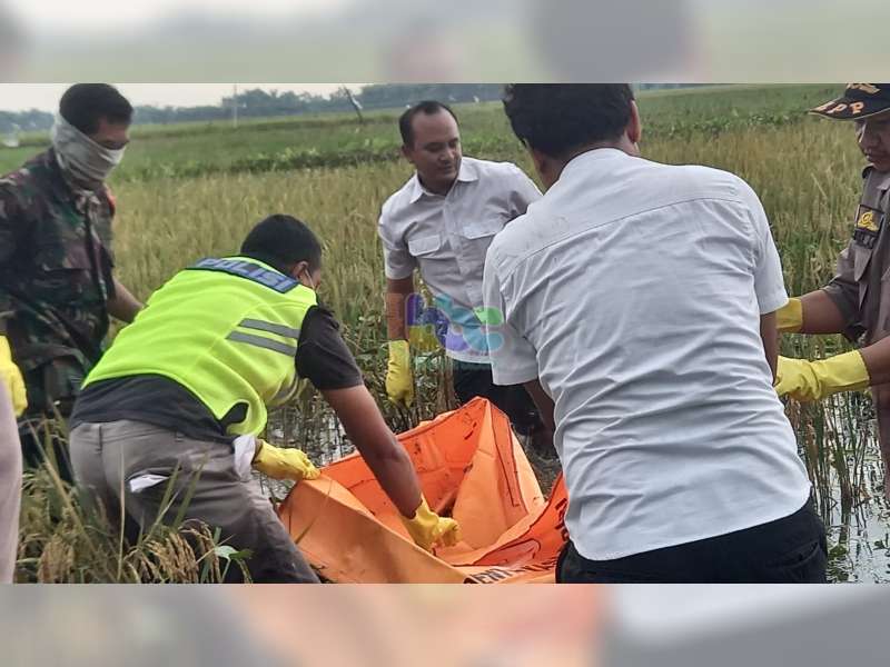 Sesosok Mayat Perempuan Ditemukan Di Area Persawahan Kalitidu ...