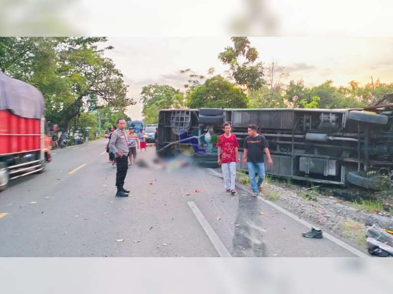 Tabrakan Bus dan Motor di Baureno, Bojonegoro, Kernet Bus dan Pembonceng Motor Meninggal Dunia