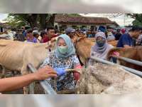 Baru Ada 2 Puskeswan, DP4 Blora Segera Lakukan Penambahan