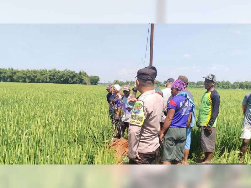 Petani di Kaltidu, Bojonegoro Meninggal Tersengat Listrik Pompa Air di Sawah